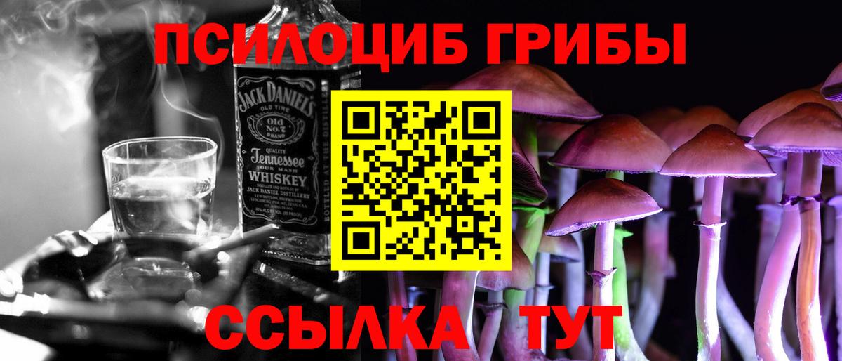 Ижевск  Галлюциногенные грибы MAGIC MUSHROOMS  Вход с VPN 